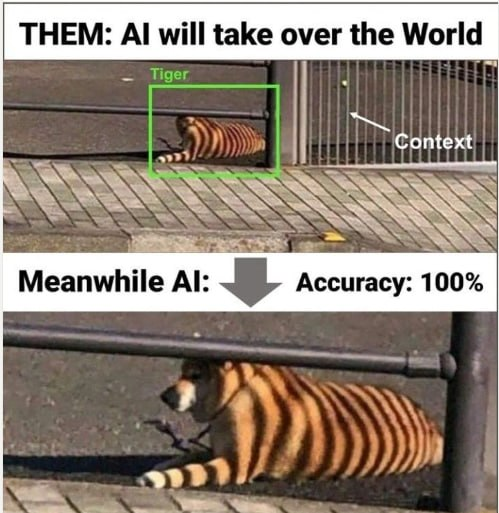 A visual joke: a dog behind a fence incorrectly labelled as a tiger