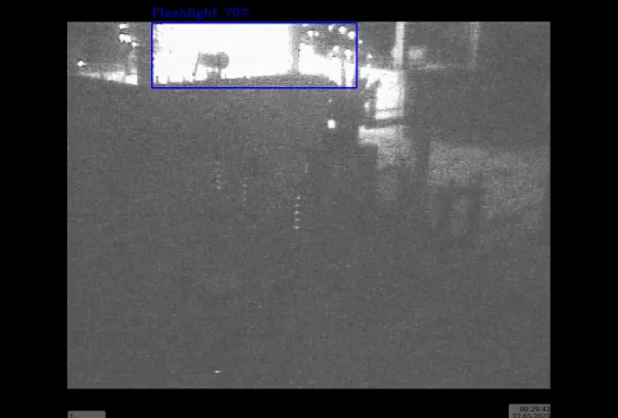 Flash Detection